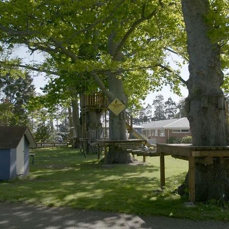 Te Aroha Holiday Park And Motels Kültér fotó