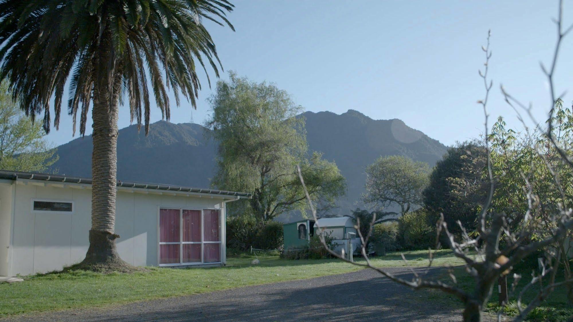 Te Aroha Holiday Park And Motels Kültér fotó